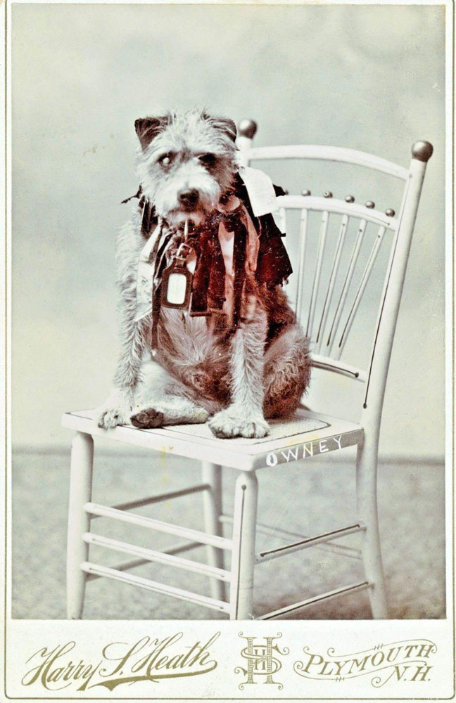 A Portrait of Owney